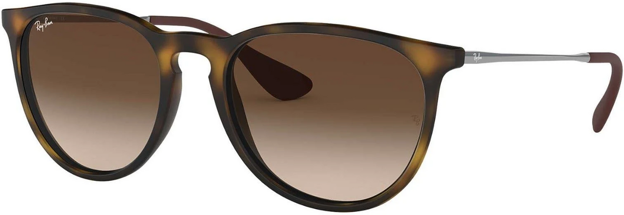 Ray-Ban Erika Sunglasses